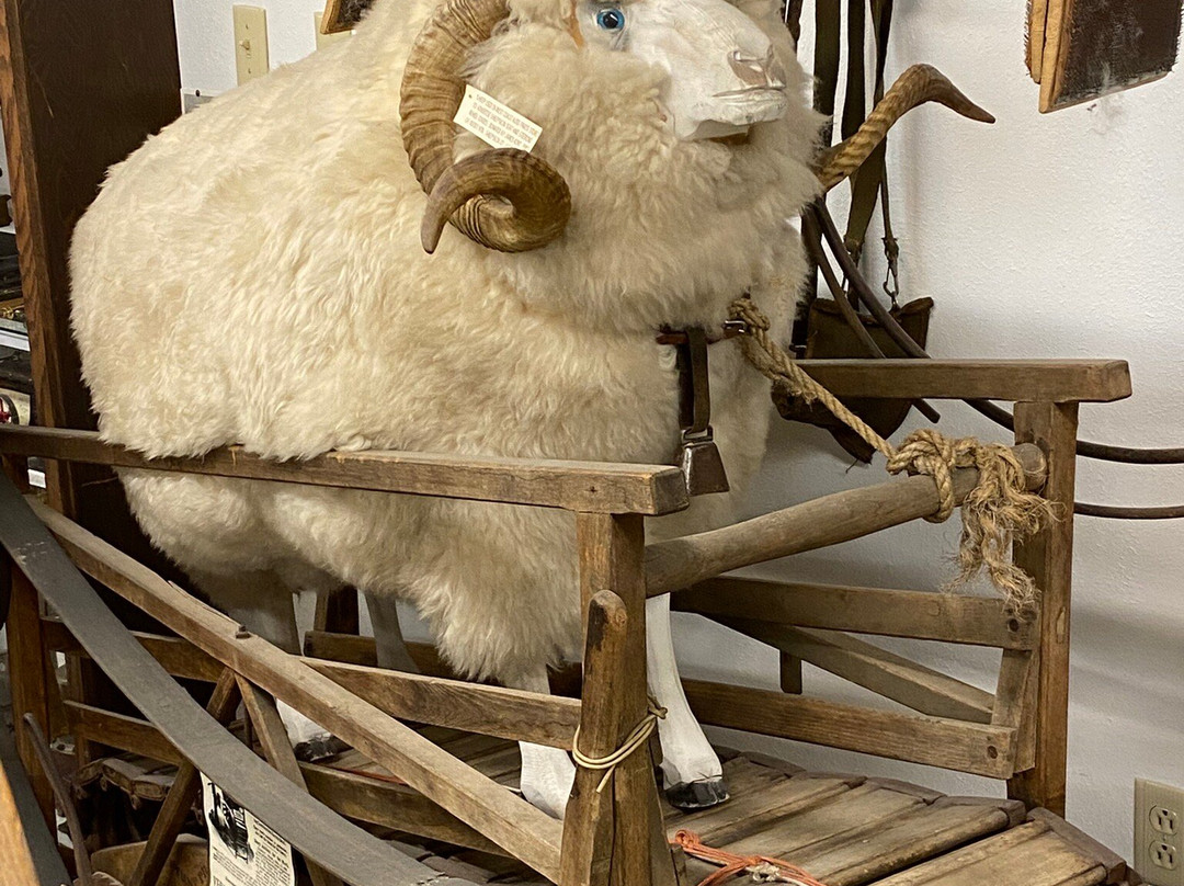 Miracle of America Museum-Polson必去景点