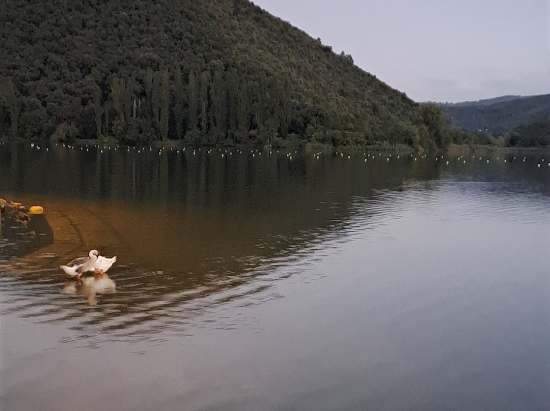 Lago di Piediluco-Piediluco必去景点