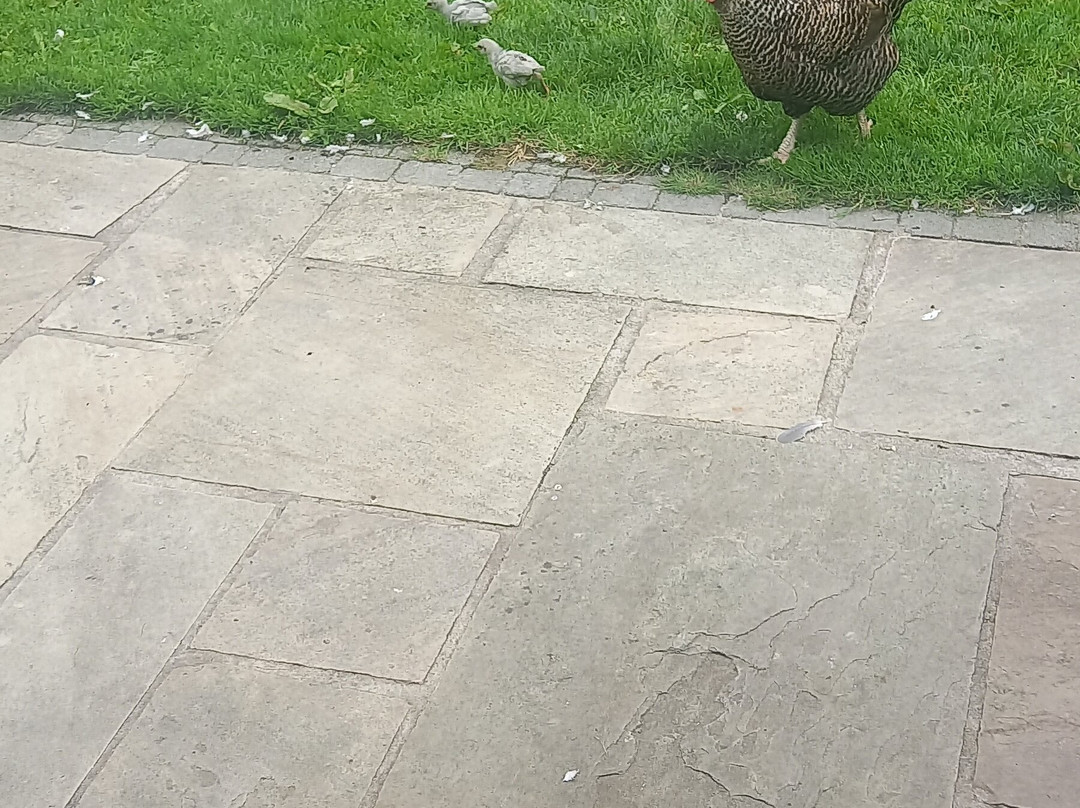 Tracey's Farmhouse Kitchen-贝尔法斯特必去景点