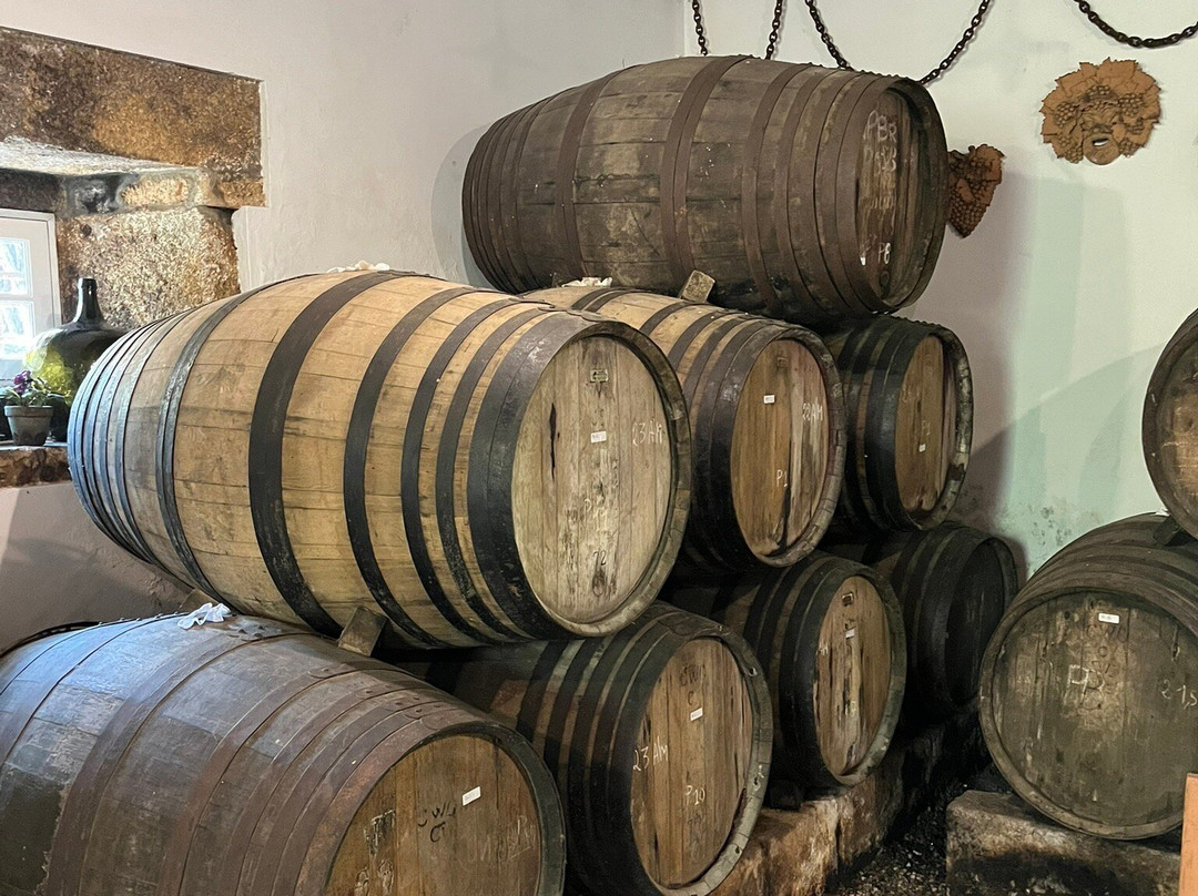 Quinta da Casa Amarela-Lamego必去景点