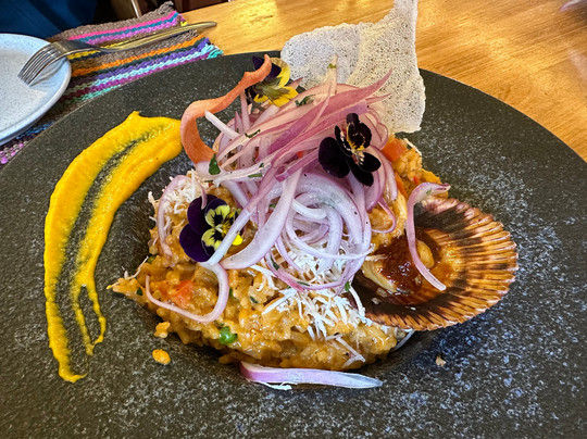 Hapya Best Peruvian Food Experience