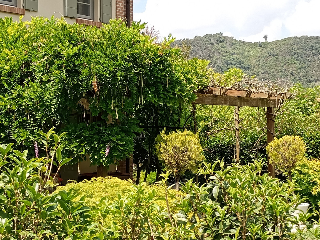 Il Casale Al Colle-蒙特格罗托泰梅必去景点