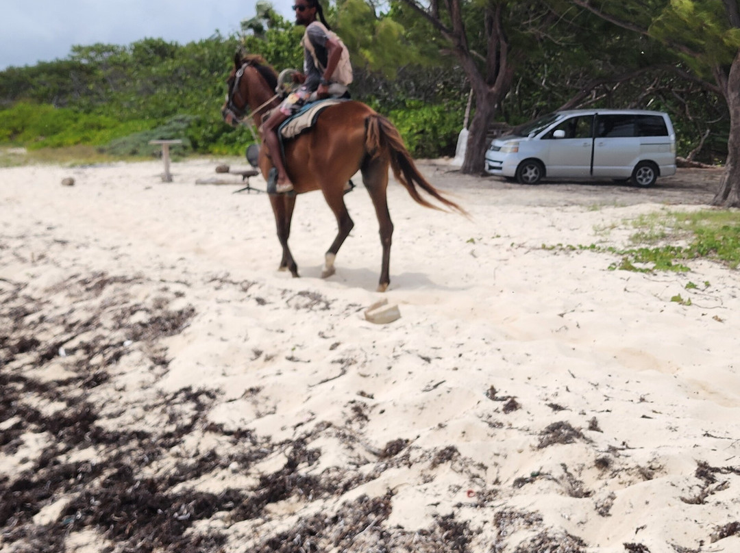 Spirit of the West-西湾必去景点