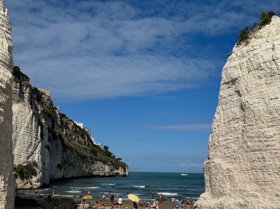 Spiaggia del Pizzomunno-维耶斯泰必去景点
