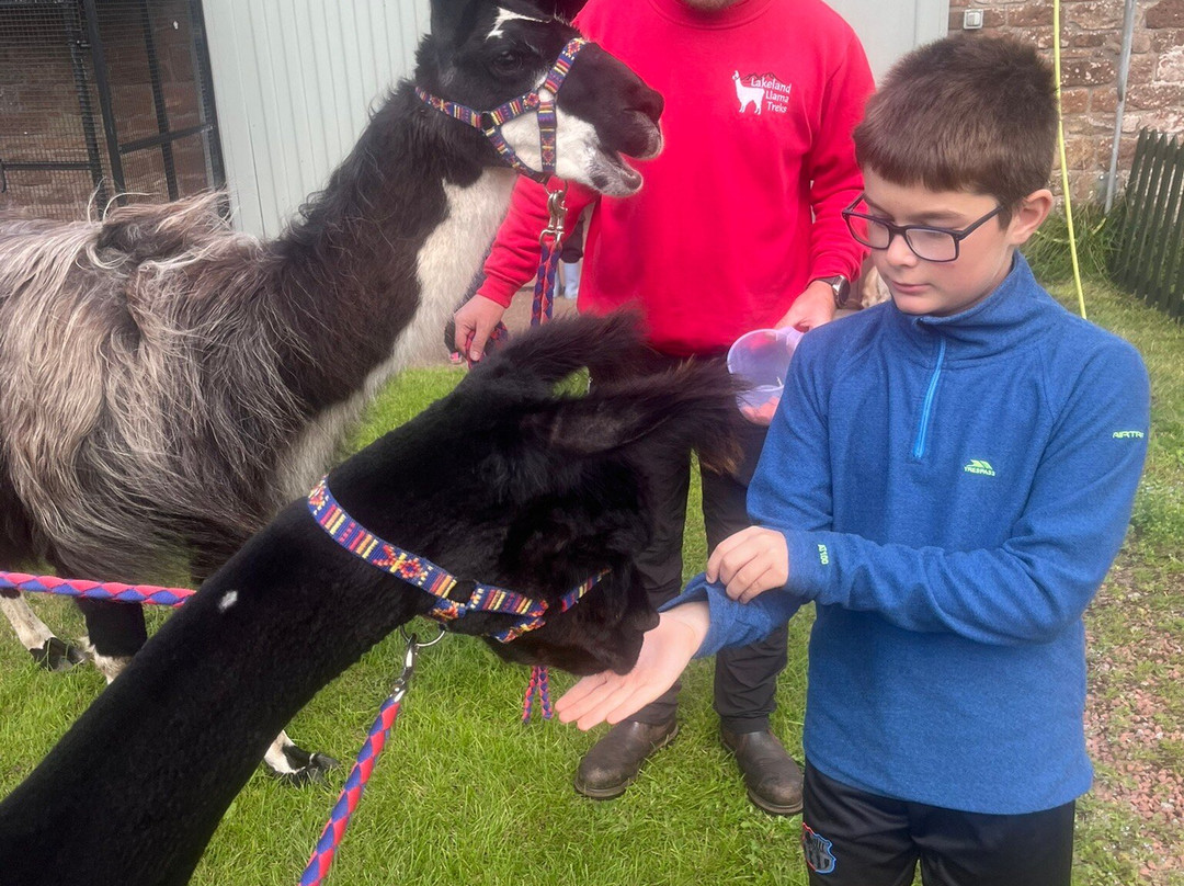 Lakeland Llama Treks-Melmerby必去景点