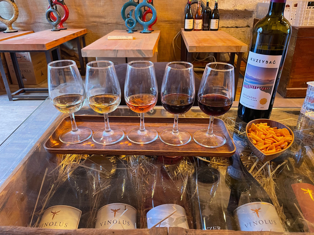 Vinodocia Wine & Art House-乌奇萨必去景点
