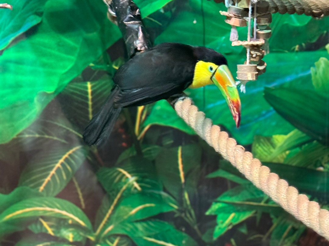 OdySea Aquarium-斯科茨代尔必去景点