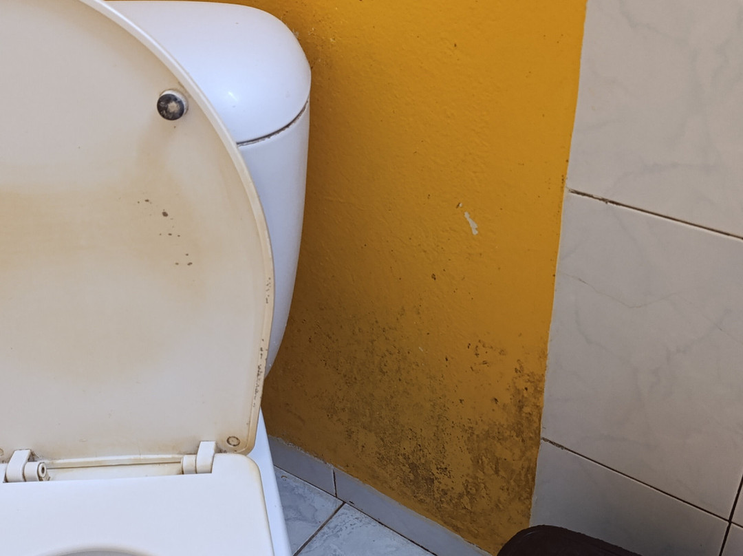 Le Jardin Exotique主图