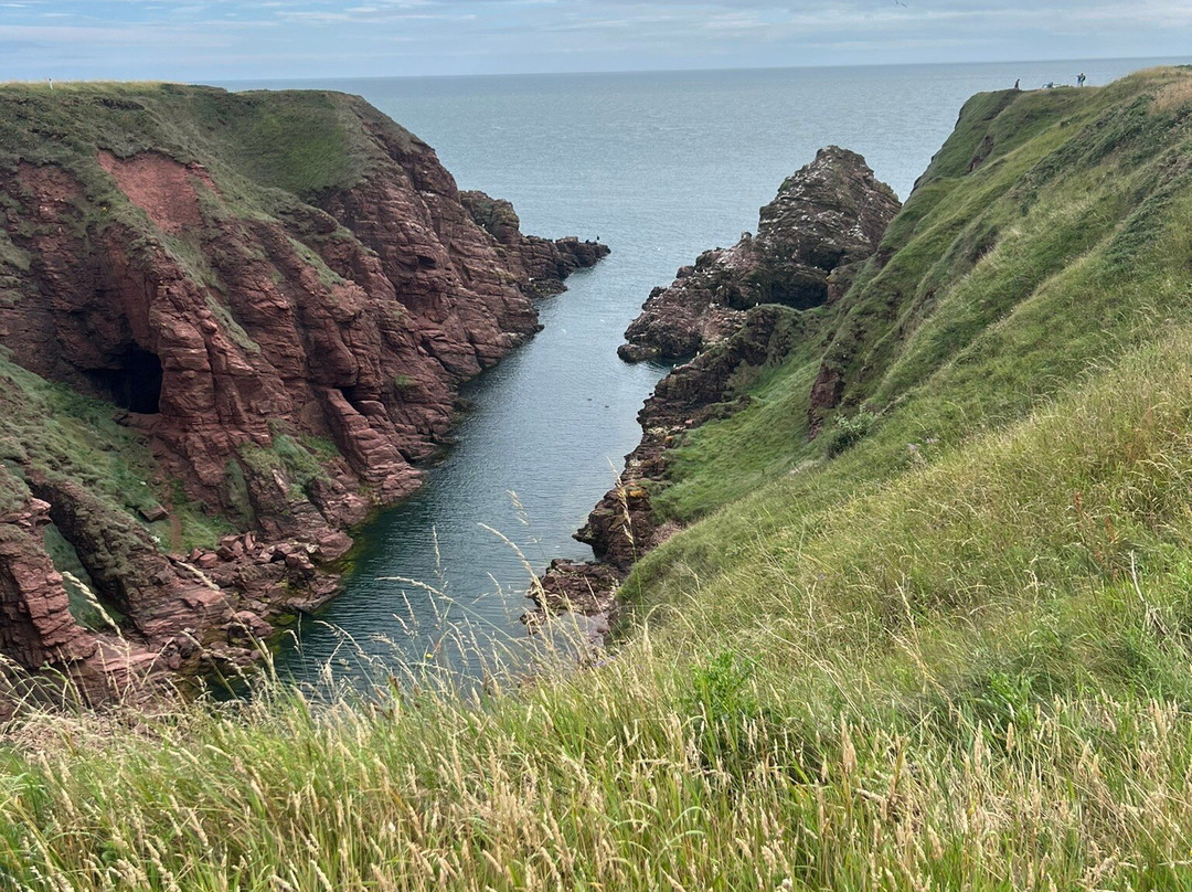 Arbroath Cliffs-Arbroath必去景点