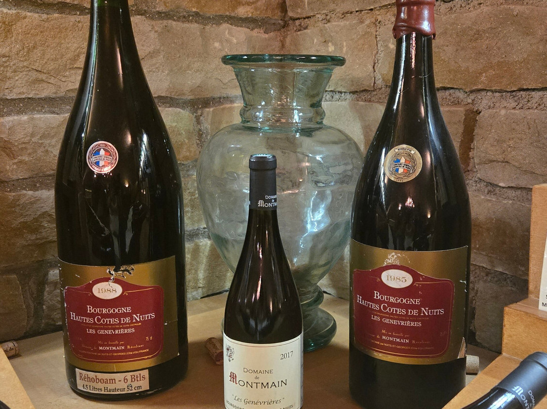 Domaine de Montmain-Villars-Fontaine必去景点