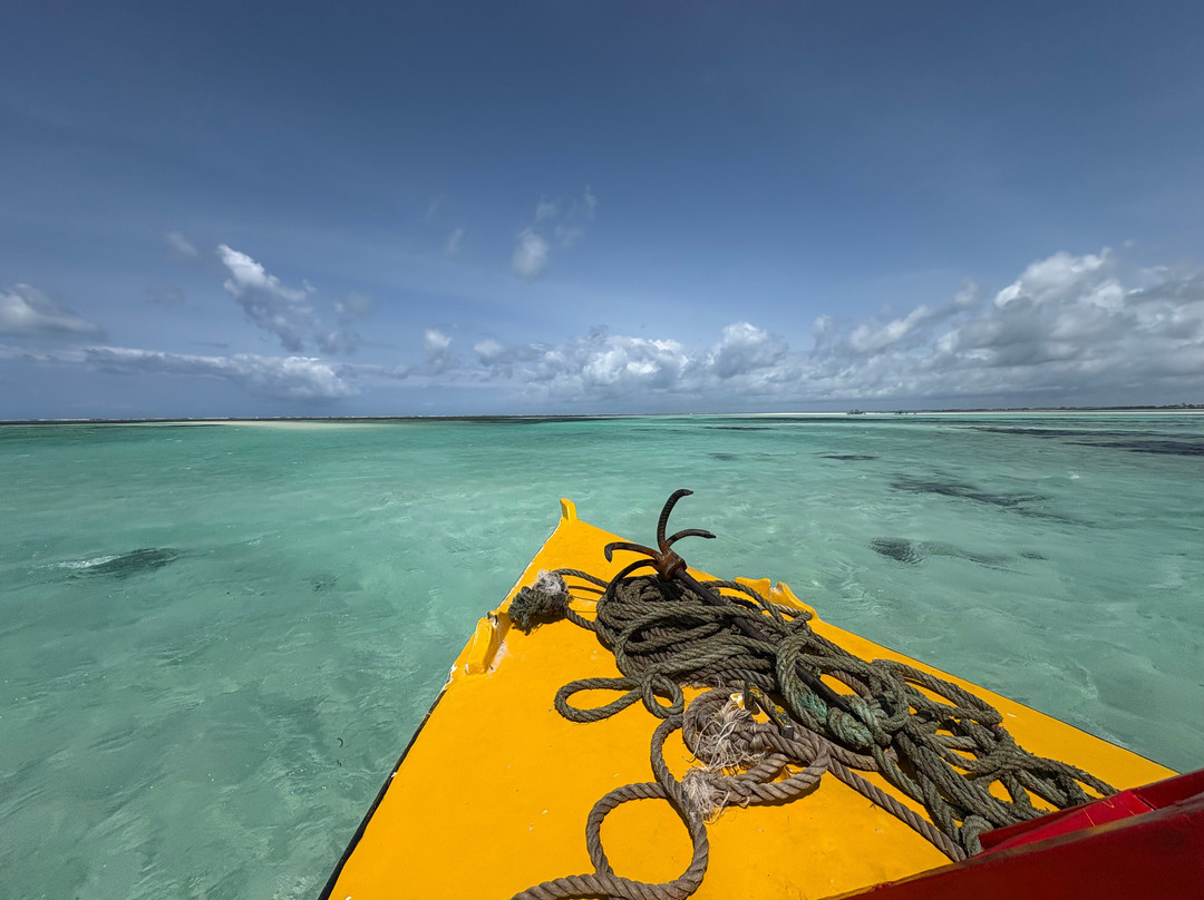 Jamaicano Kenya Safari-瓦塔木必去景点