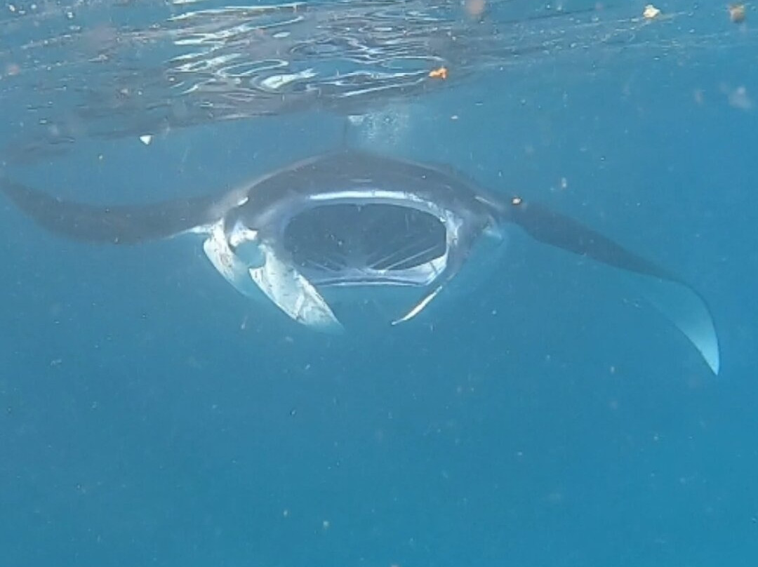 Snorkeling at Nusa Penida-Toyapakeh必去景点