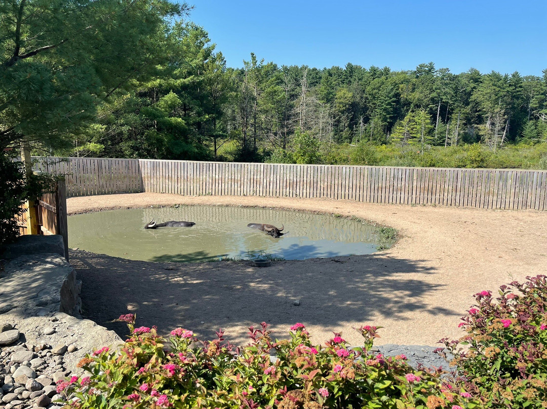 Animal Adventure Park-Harpursville必去景点