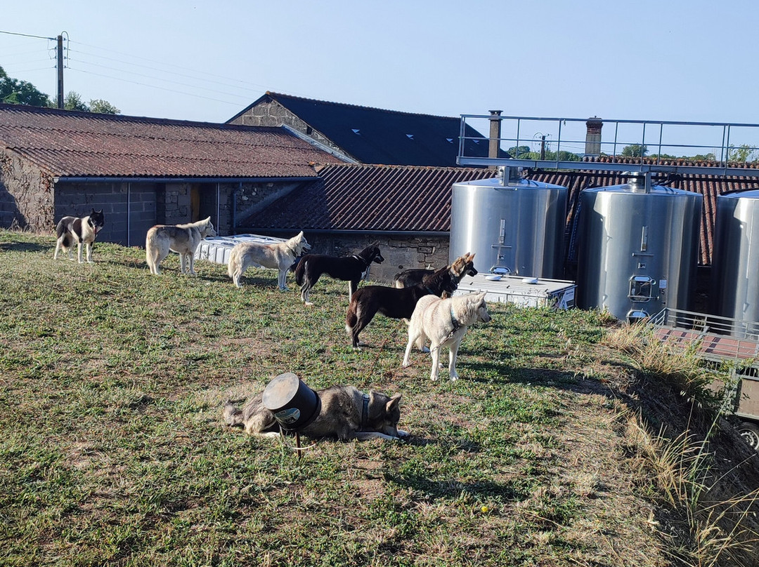 Domaine Bodineau-Les Verchers-sur-Layon必去景点