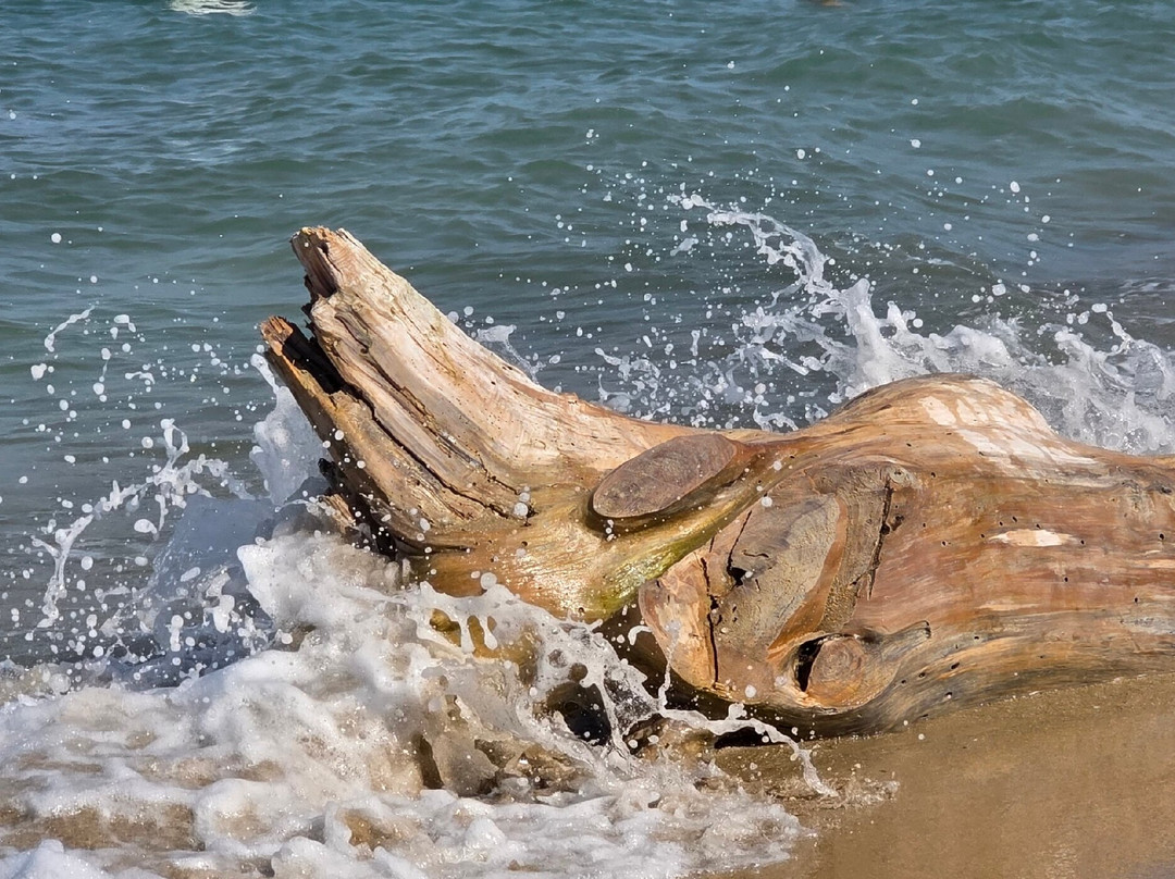 Soleluna Lido-San Cataldo必去景点