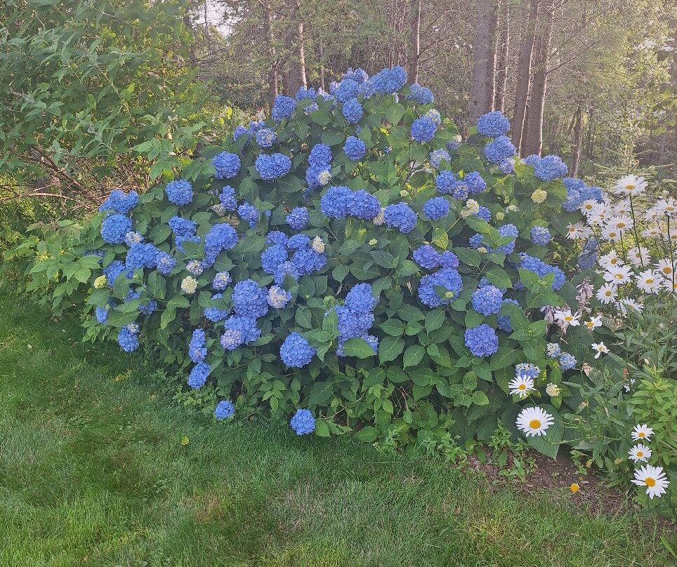 Abbie's Garden Bed & Breakfast主图