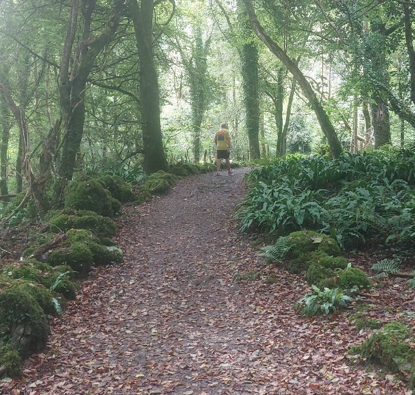 Craggaunowen-Sixmilebridge必去景点