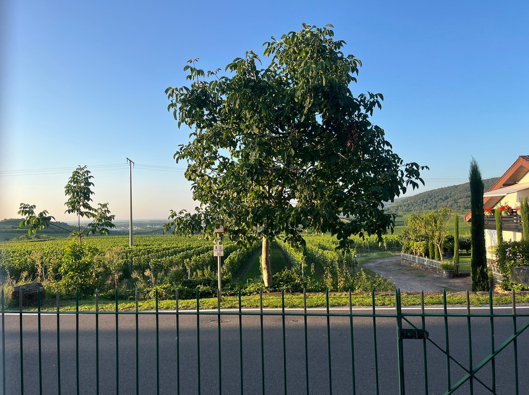 Halbersbacher Hotel Annaberg主图