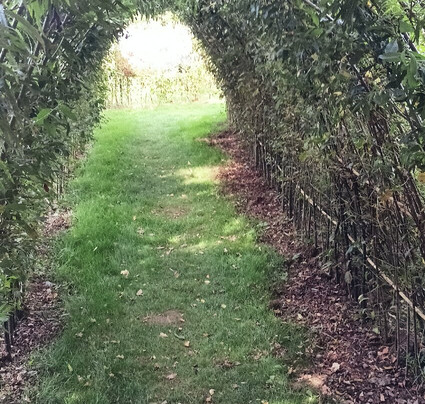 Le Jardin Des Osmanthes-La Bouillie必去景点