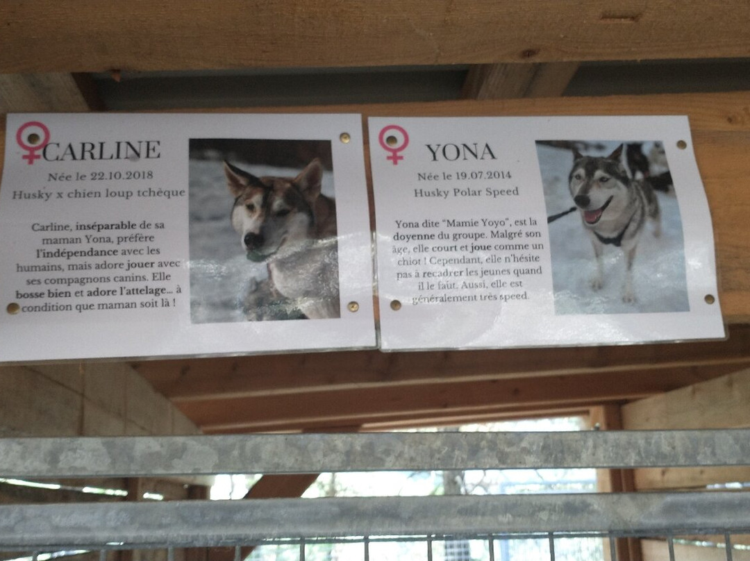 Banquise Traîneau-Saint-Paul-sur-Ubaye必去景点