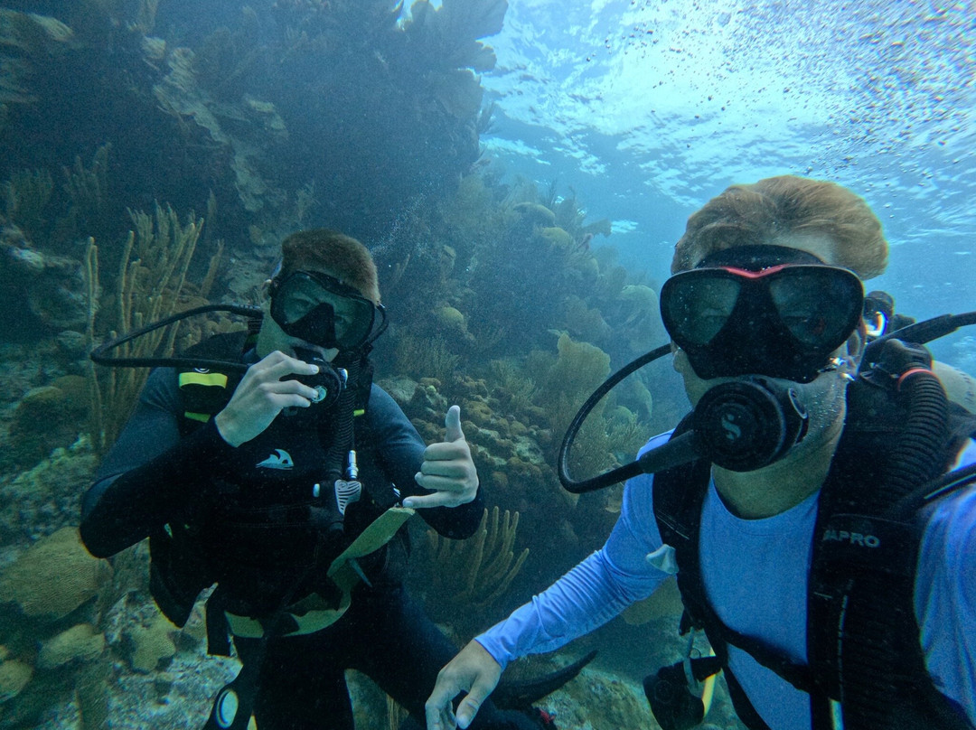 Dive Bermuda at Somerset-Sandys Parish必去景点