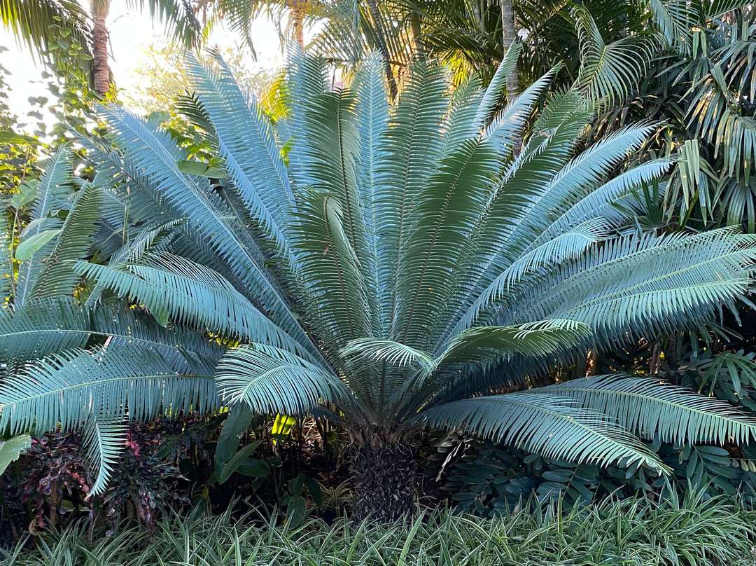 Gunther's Country House主图