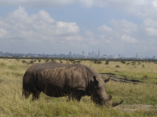 Hi Five Adventures-Mara North Conservancy必去景点