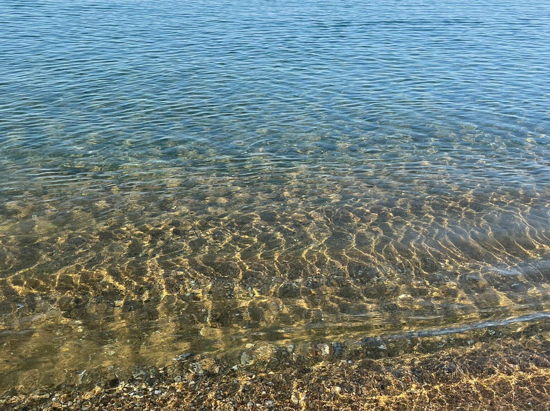 Agia Paraskevi Beach-帕蒂卡必去景点