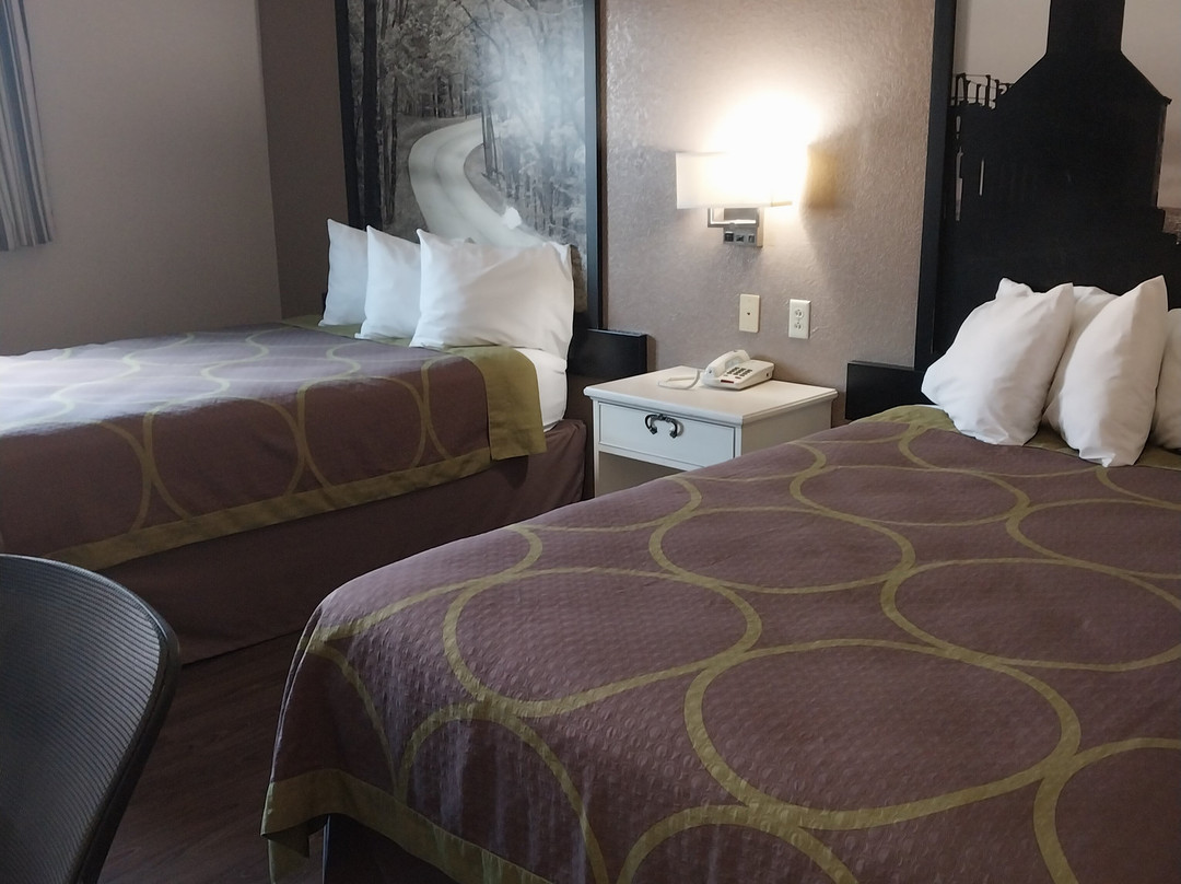 Super 8 by Wyndham Indianapolis/Emerson Ave主图