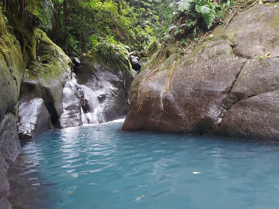 Cascades du Bassin Bleu-Gourbeyre必去景点