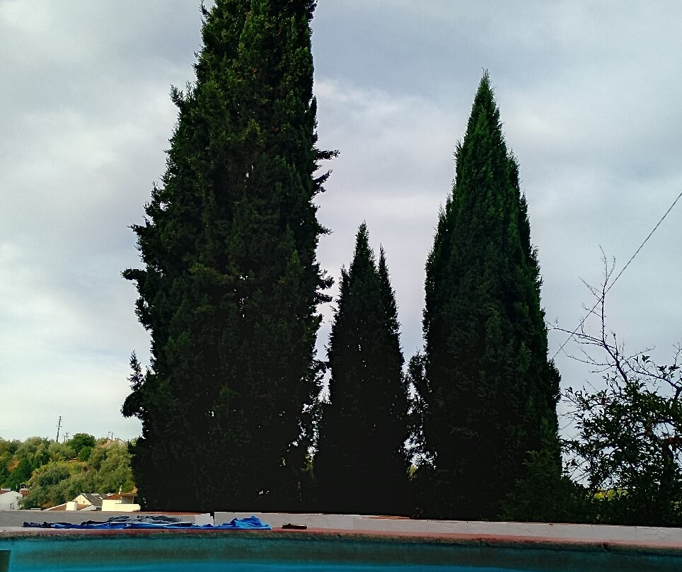 Santuário de Nossa Senhora de Brotas-Brotas必去景点