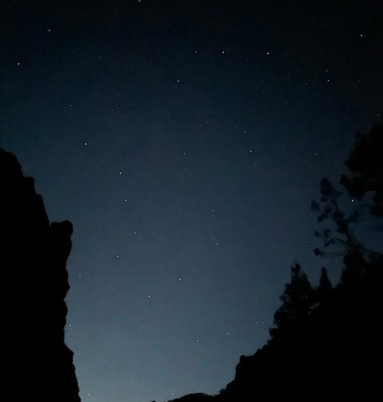 RIGS Fly Shop & Guide Service-Ridgway必去景点