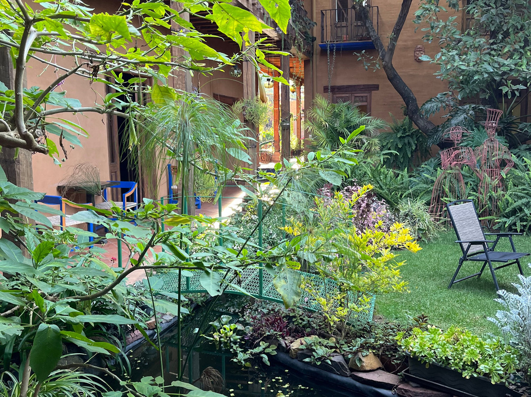 Hotel Posada Yolihuani主图