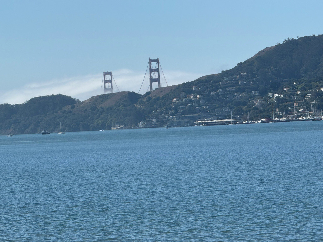 Blackie's Pasture-Tiburon必去景点