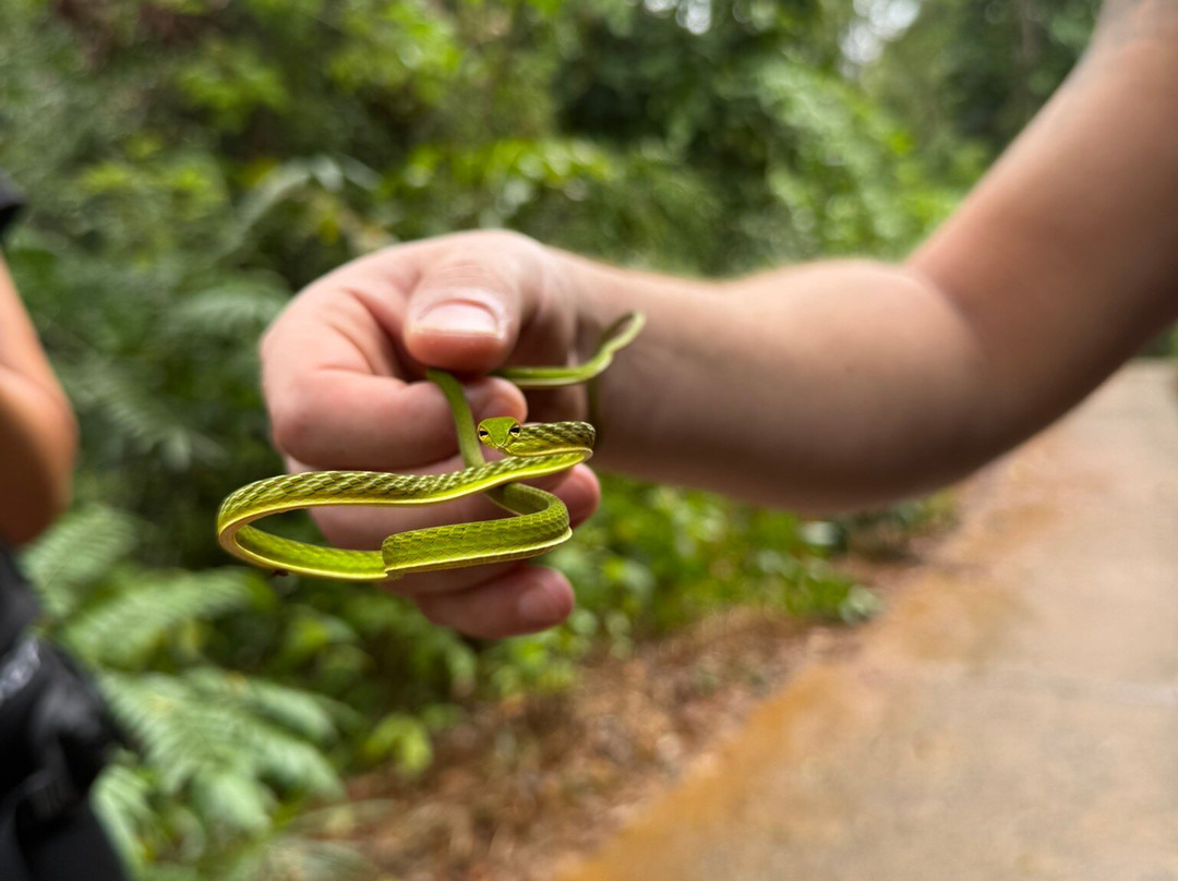 Indunil tours Sri Lanka-Deniyaya必去景点