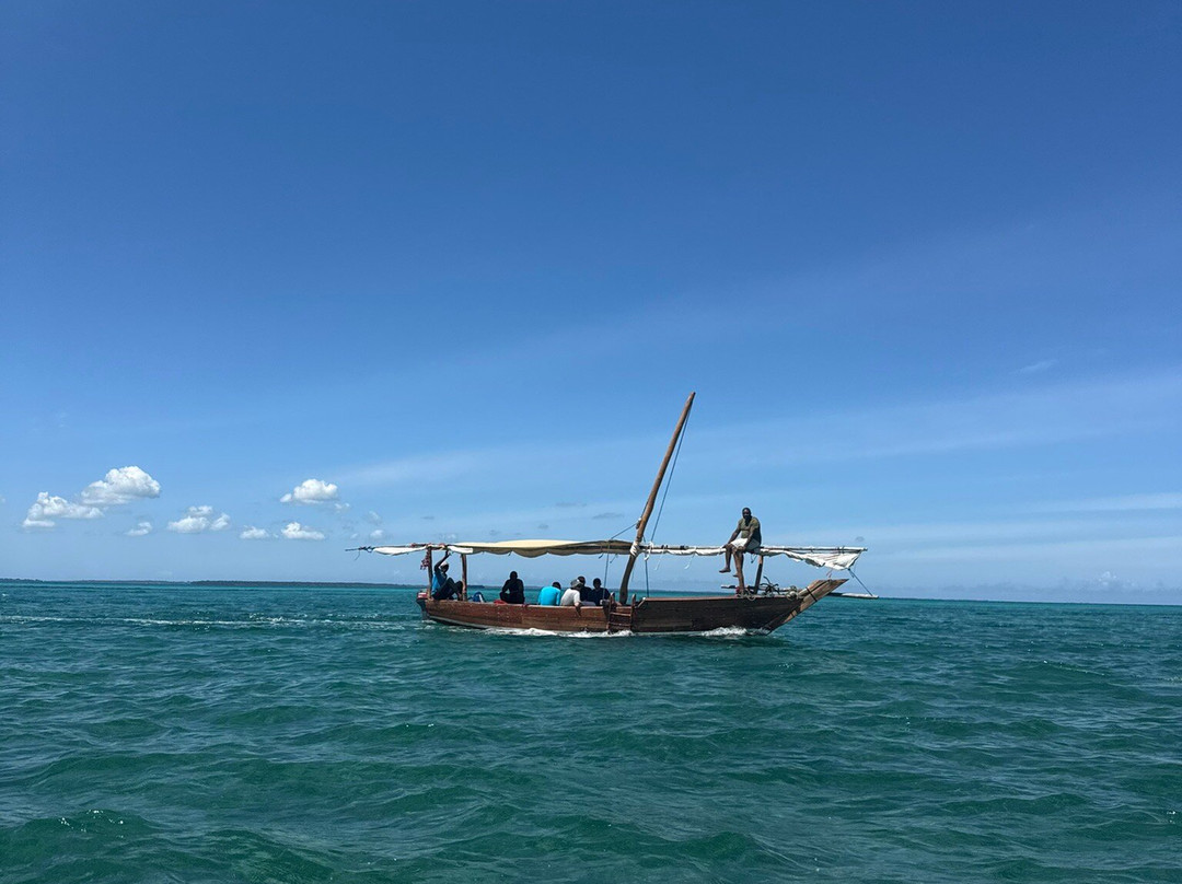 Suley Taxi Driver Zanzibar and Tours-孥归必去景点