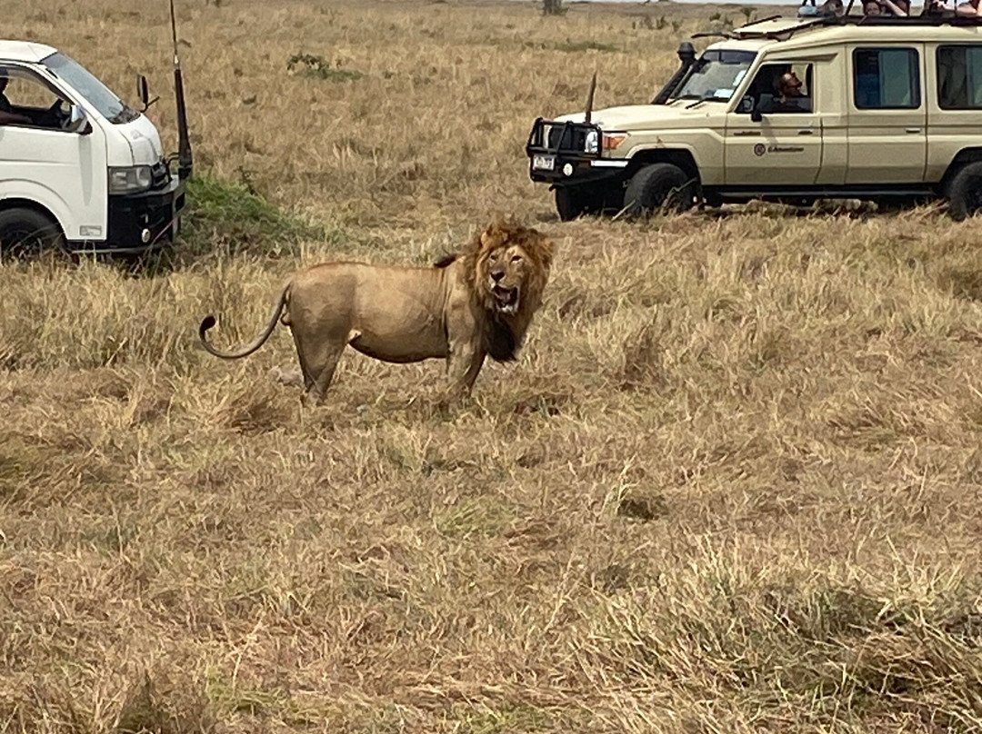 Travel Tamaro Adventures-迪亚尼必去景点