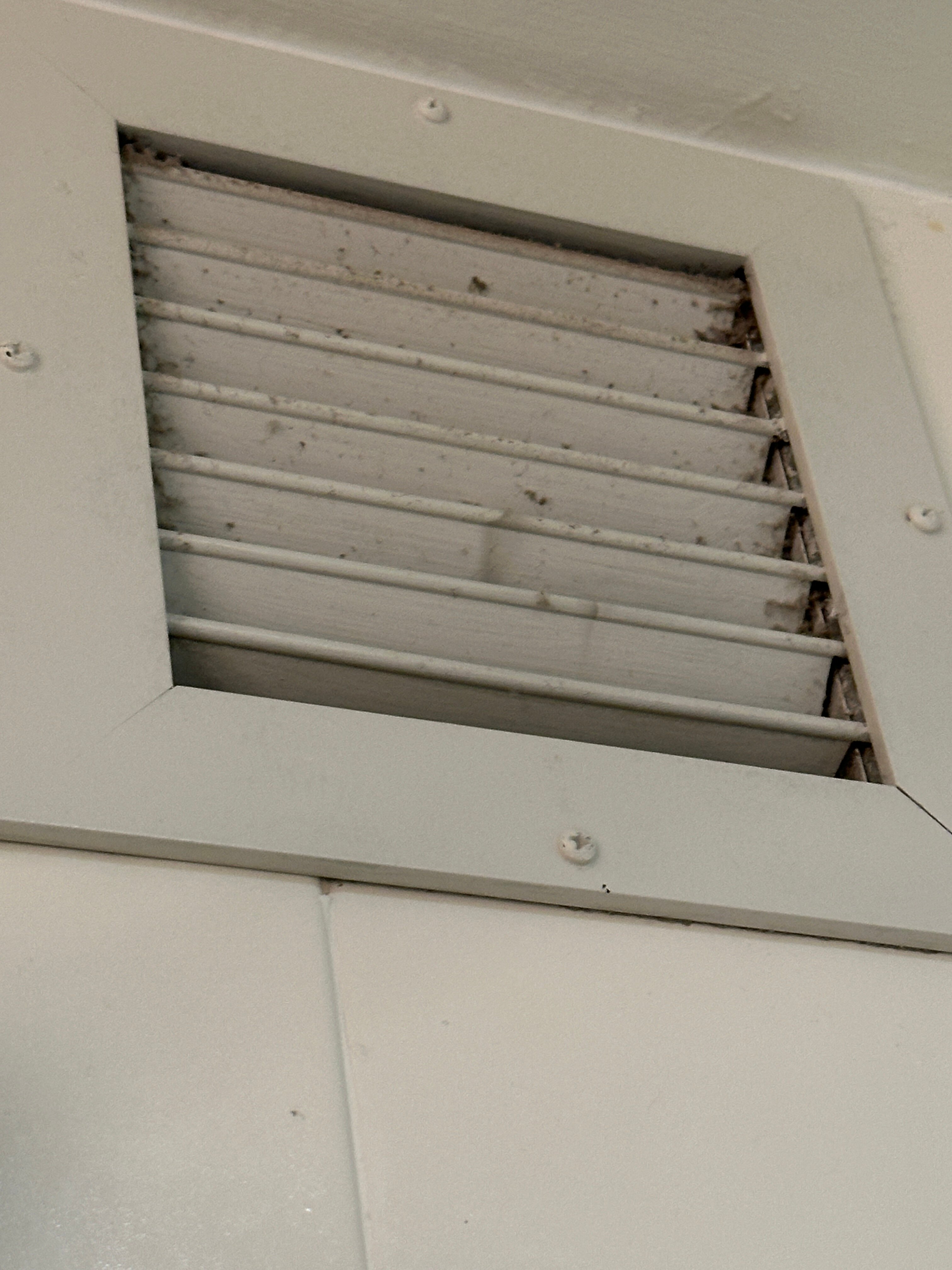 伍德布里奇万丽酒店-浴室