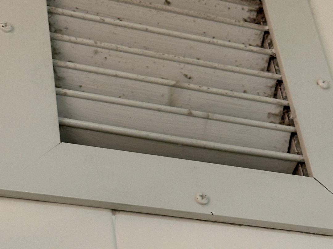 伍德布里奇万丽酒店主图