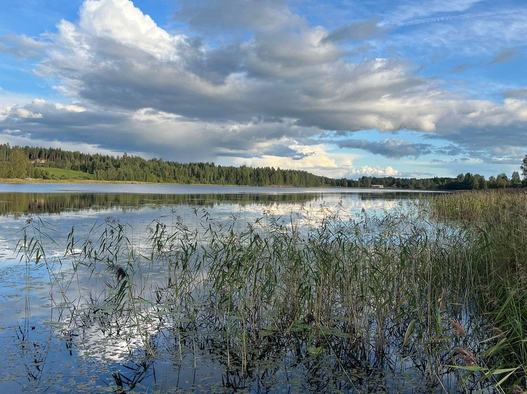 Sahlstromsgarden Hotel主图