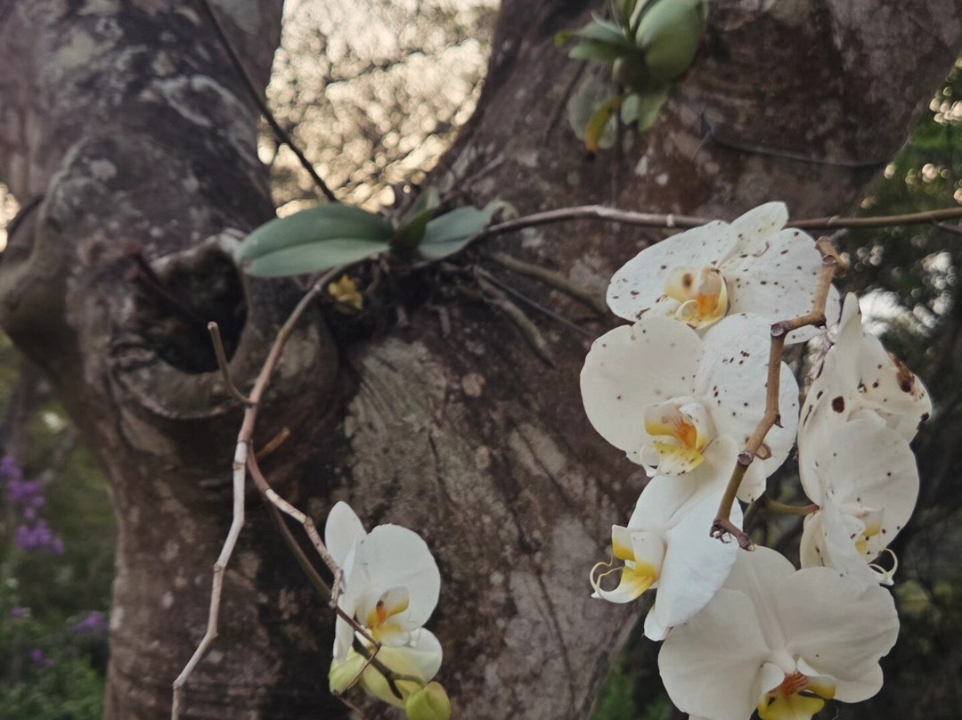 Royston Hall Guesthouse主图