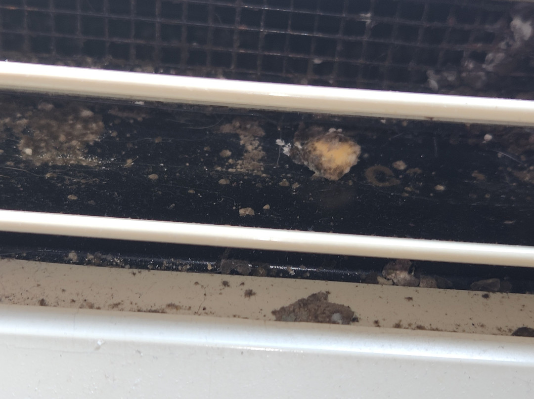 Baymont by Wyndham Merrillville