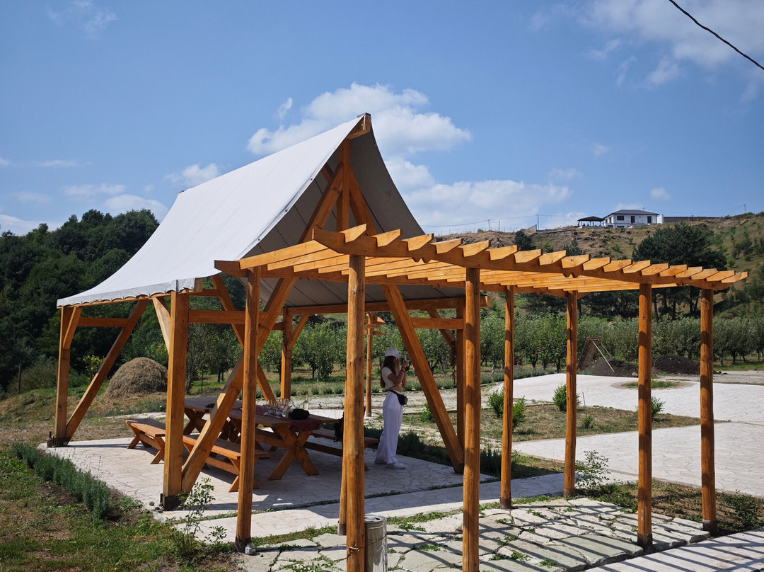 Acol Armenian Ethnic Manor-Dilijan必去景点