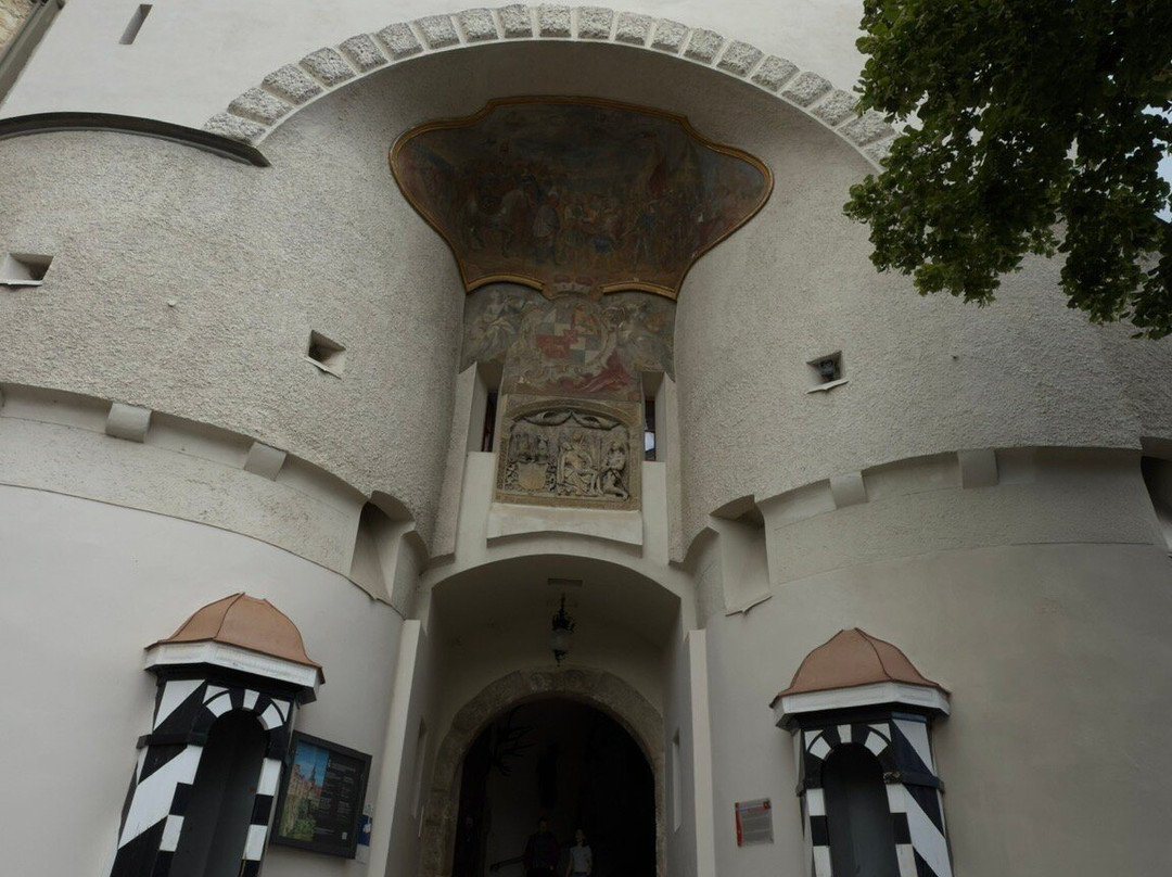 Hohenzollernschloss Sigmaringen-西格马林根必去景点