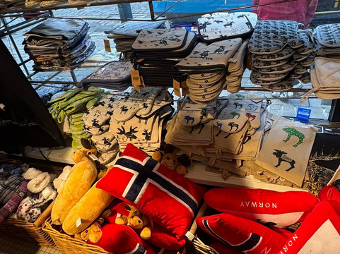 Alle Tiders!-奥斯陆必去景点