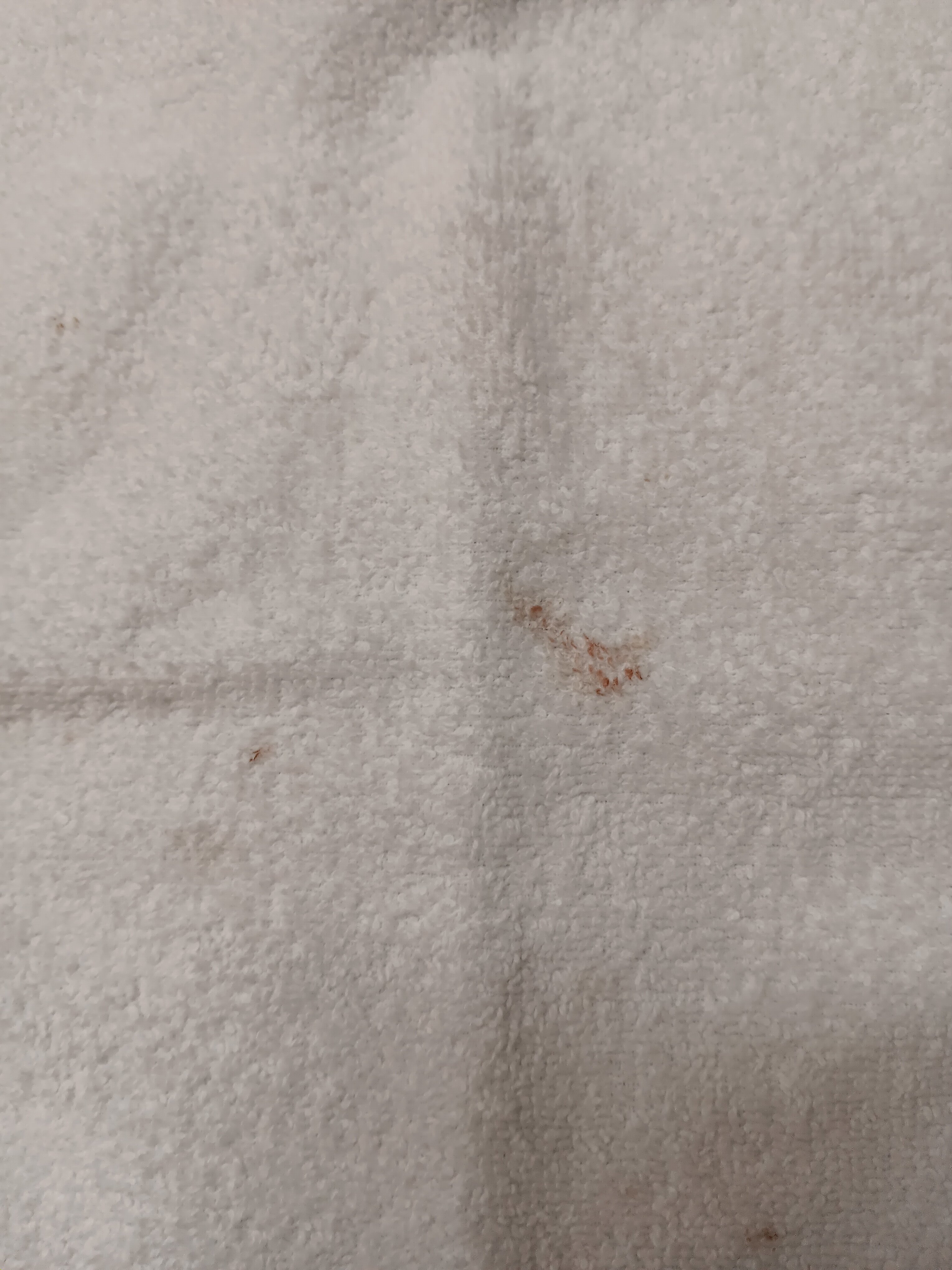 Best Western Plus Philadelphia Airport South At Widener University-浴室