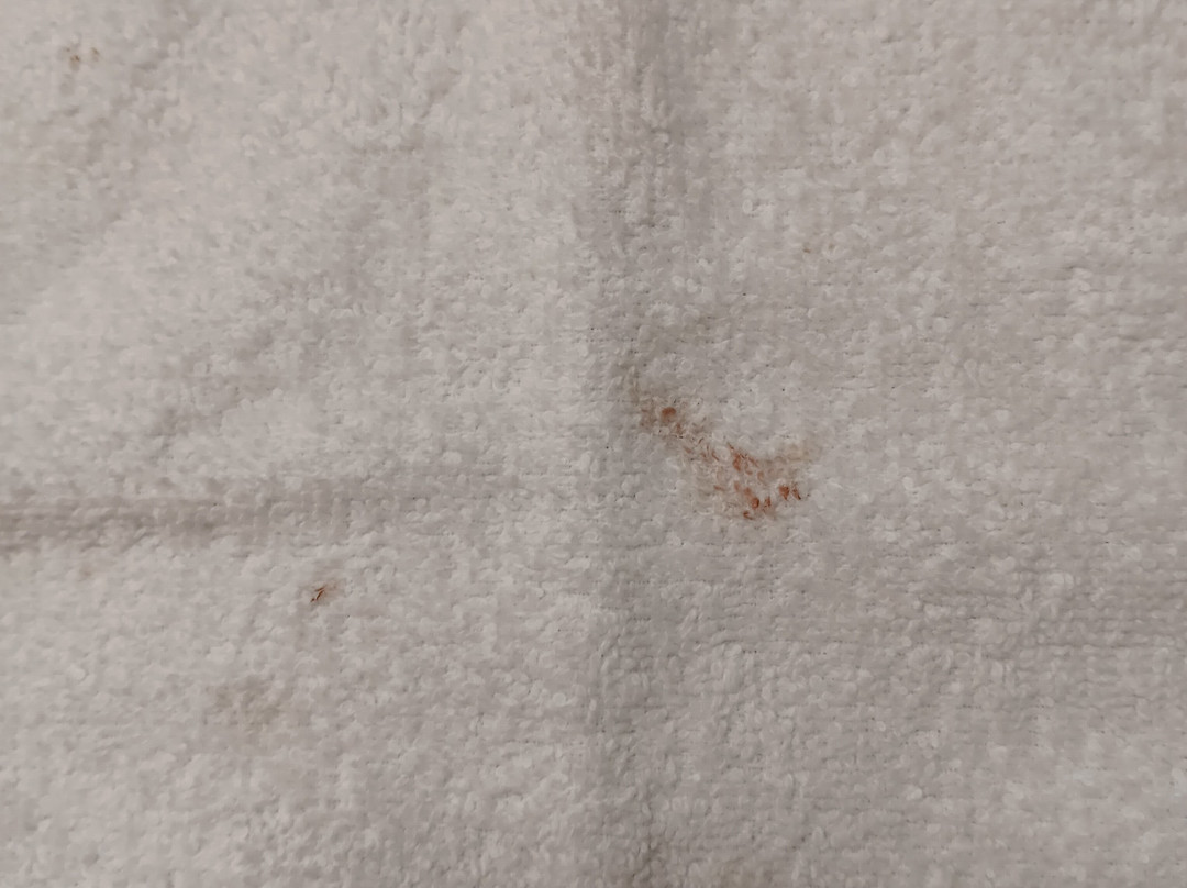 Best Western Plus Philadelphia Airport South At Widener University主图