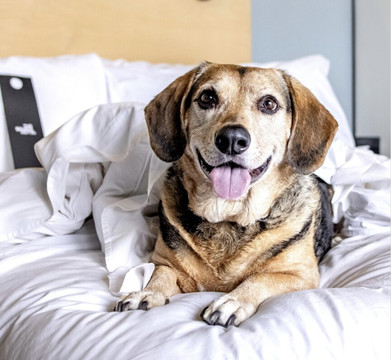 The Parkman Hotel主图