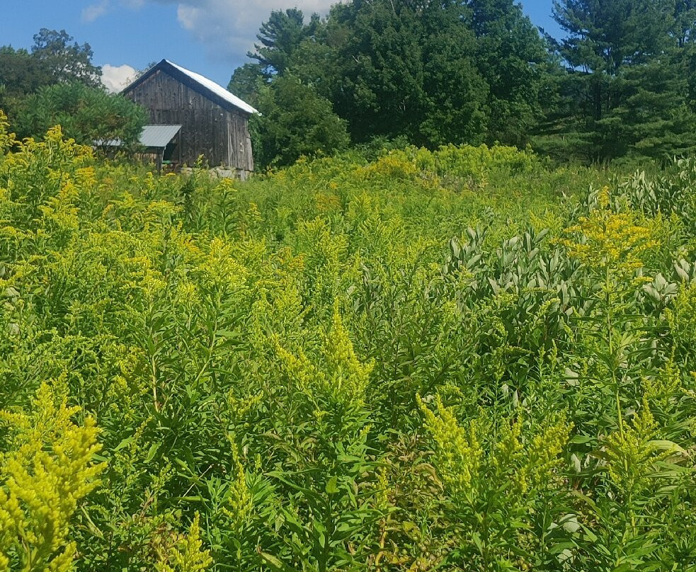 Robert Frost Stone House Museum-Shaftsbury必去景点