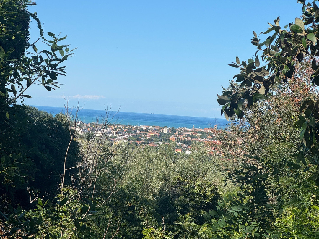 Villa Mariotti/Agriturismo Monte Giove主图